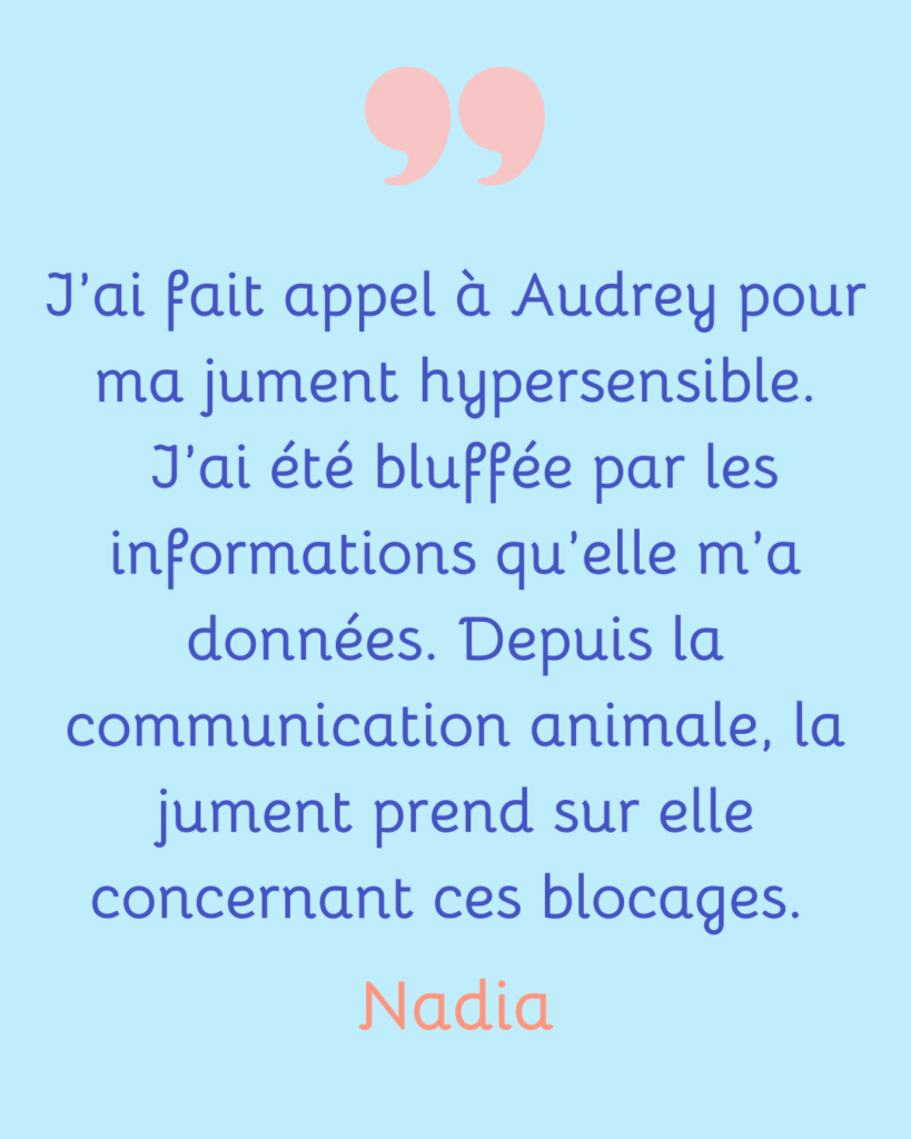 Avis-client-communication-animale-audrey-simon-brest