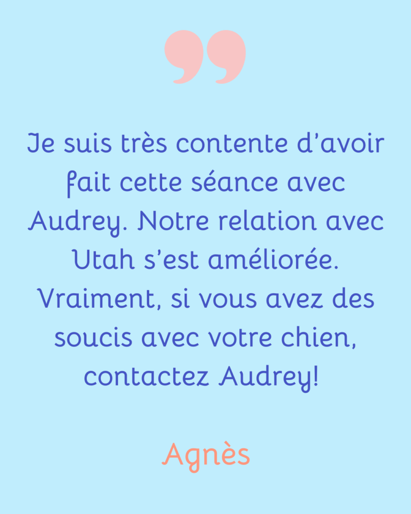 avis-client-communication-animale-audrey-simon-chien-brest