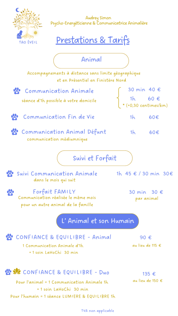 audrey-simon-communication-animale-tao-eveil-brest-tarifs
